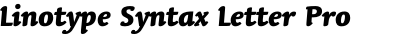 Linotype Syntax Letter Pro Heavy Italic